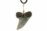 Fossil Mako Tooth Necklace - Bakersfield, California #95256-1